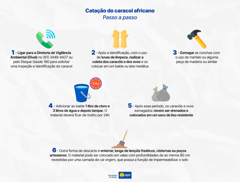 ALERTA! ⚠️ O Caramujo Africano pode estar no seu quintal! Essa espécie invasora causa prejuízos à sua horta e oferece sérios riscos à saúde de humanos e animais. 